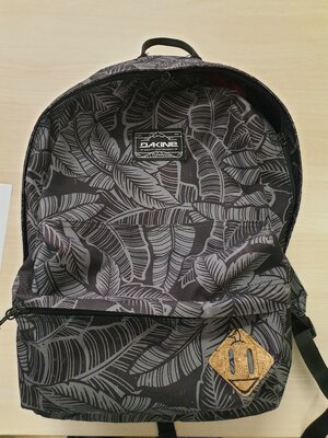 Sac Dakine